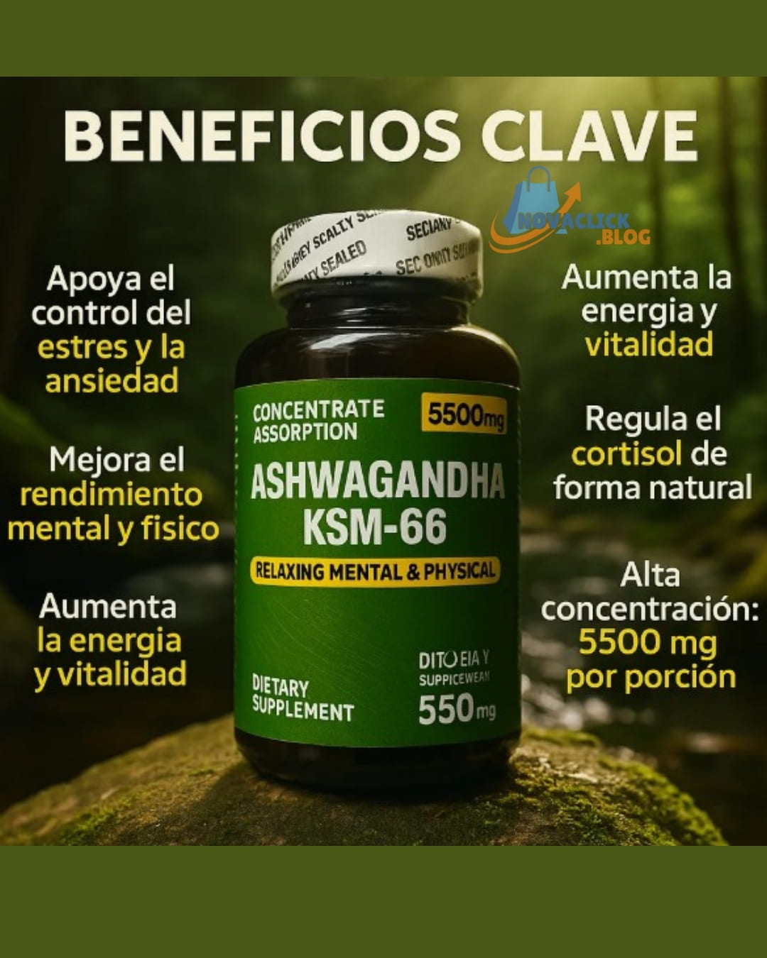 Ashawanda Ksm 66 X 100 Softgels