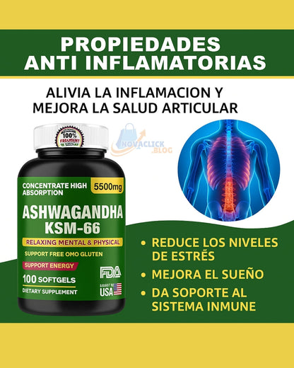 Ashawanda Ksm 66 X 100 Softgels